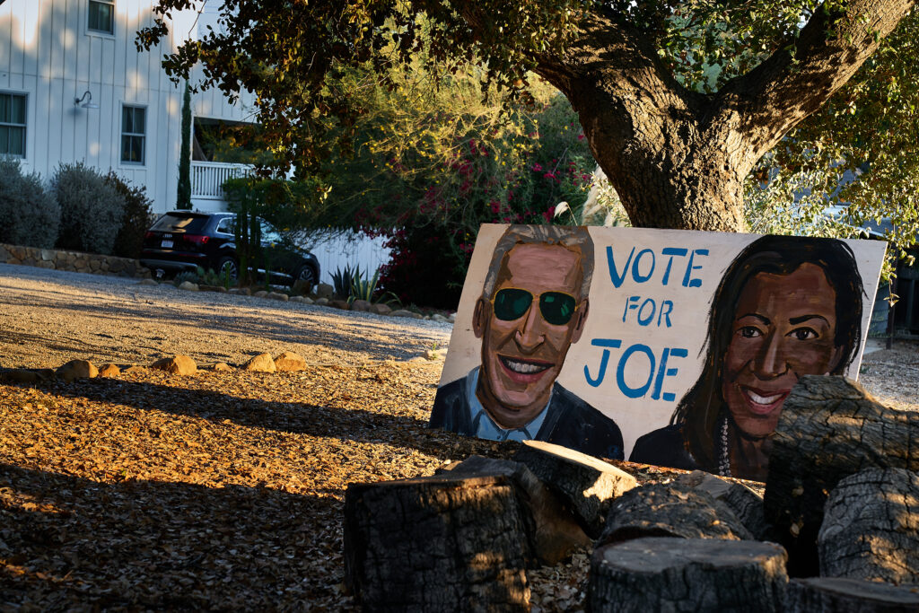 Signs of the Time. 2020 Presidential Election, democrats, Joe Biden, Kamala Harris, political, political sign, politics, presidental election, presidential campaign, suburbs, vote, yard sign.