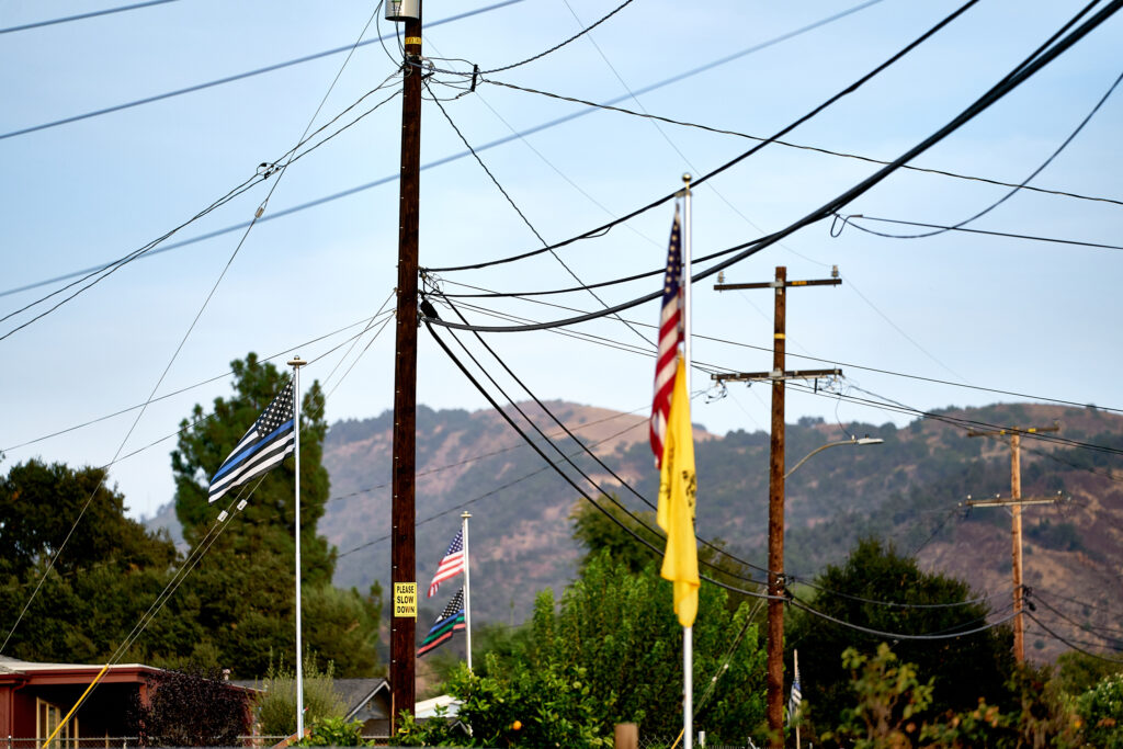 Political Signs. American flag, electrical wires, flag, flag pole, neighbors, political, political sign, politics, presidental election, suburbs, thin blue line.
