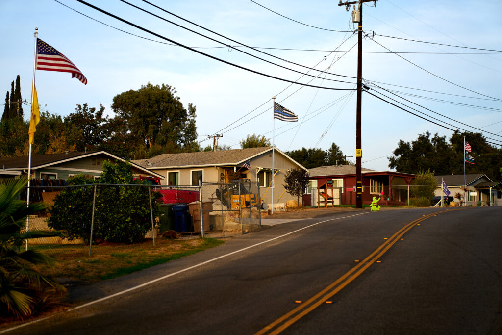 Political Signs. American flag, electrical wires, flag, flag pole, neighbors, political, political sign, politics, presidental election, suburbs, thin blue line.