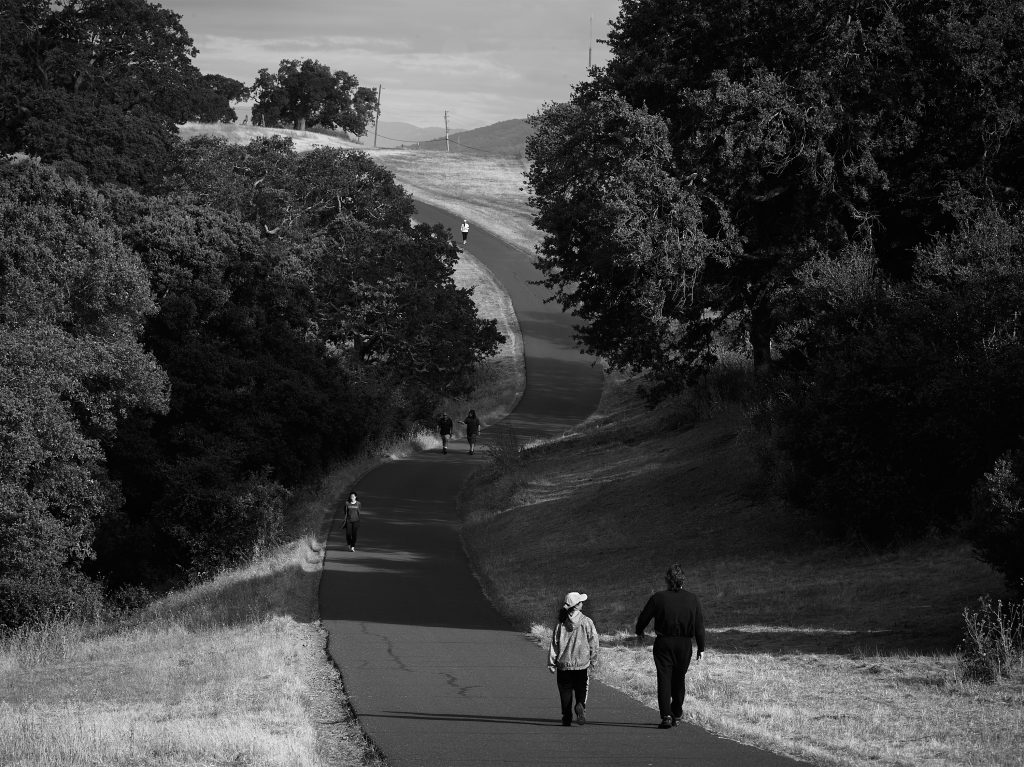 The Dish Area at Stanford. Dish Area, Silicon Valley, Stanford Dish, The Dish, astronomy, hiking, SRI, Stanford University, radio telescope, satellite dish, space, telescope.