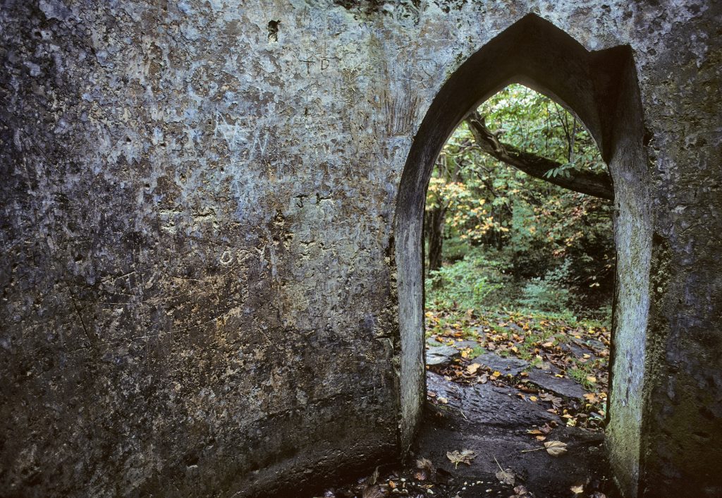 Tower Entrance. travel, tower, graffiti, forest, park.