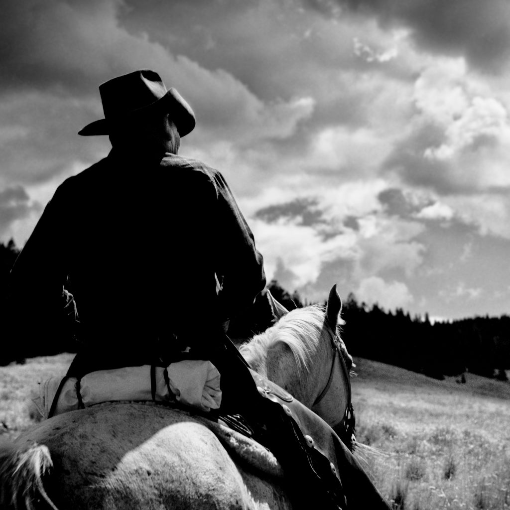 Cowboy. cowboy, ranching, horse, cattle, horseback, american west.