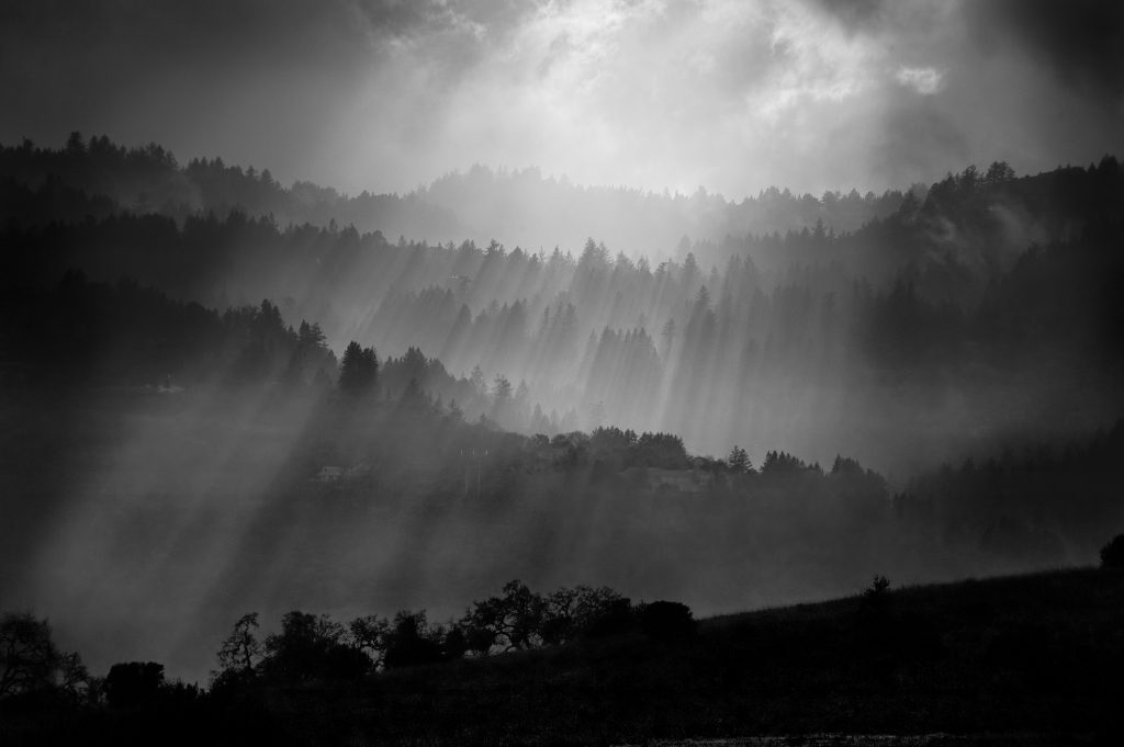 God Beams. landscape, storm, god beams, storm clearing, light rays, forest, trees, dramatic.