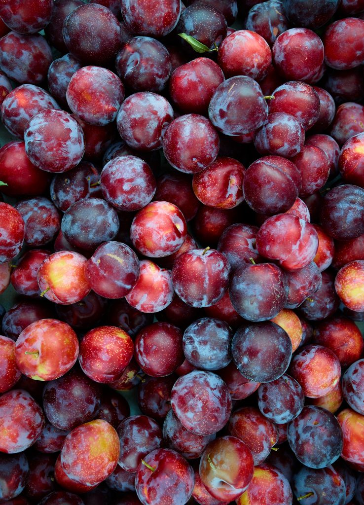 Plums. farmers market, fruits, food, still life, onions, organic, produce, vegitables, yellow onions.