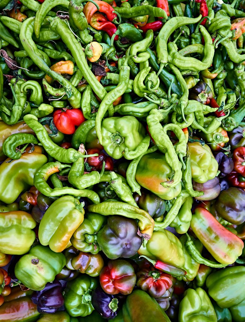Peppers. farmers market, fruits, green peppers, jalapeno peppers, organic vegitables, peppers, produce, red peppers, vegitables, food, still life.
