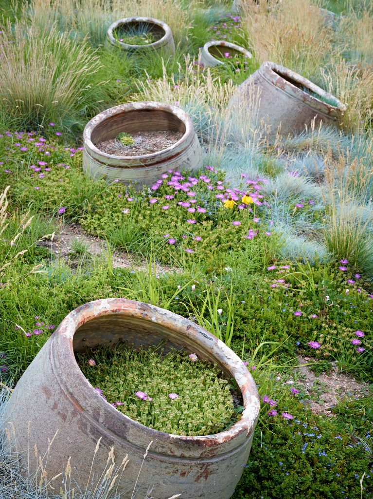 Garden Planters. flower, garden, planting landscape, landscape, nature, grass.