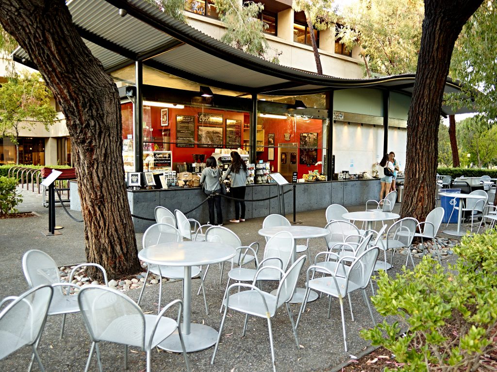 Cafe Coupa Stanford Campus. cafe, Stanford University, coffee, tea, students, campus life, campus, higher education, reportage.