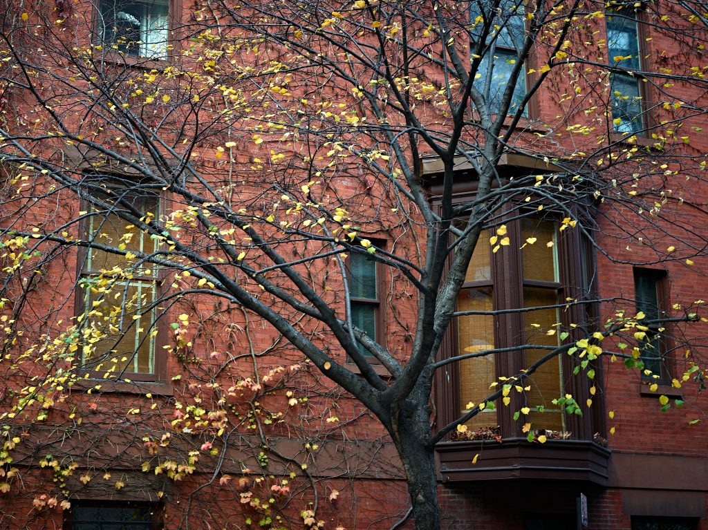 Brownstone In Fall. street, building, urban, city, fall, fall colors, nyc, trees, leaves, brick, windows.