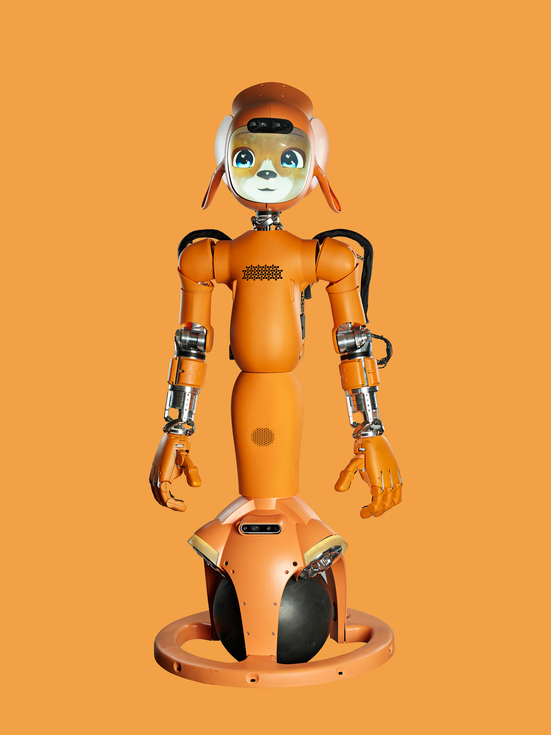 Mirokaï. robot, robotics, humanoid.