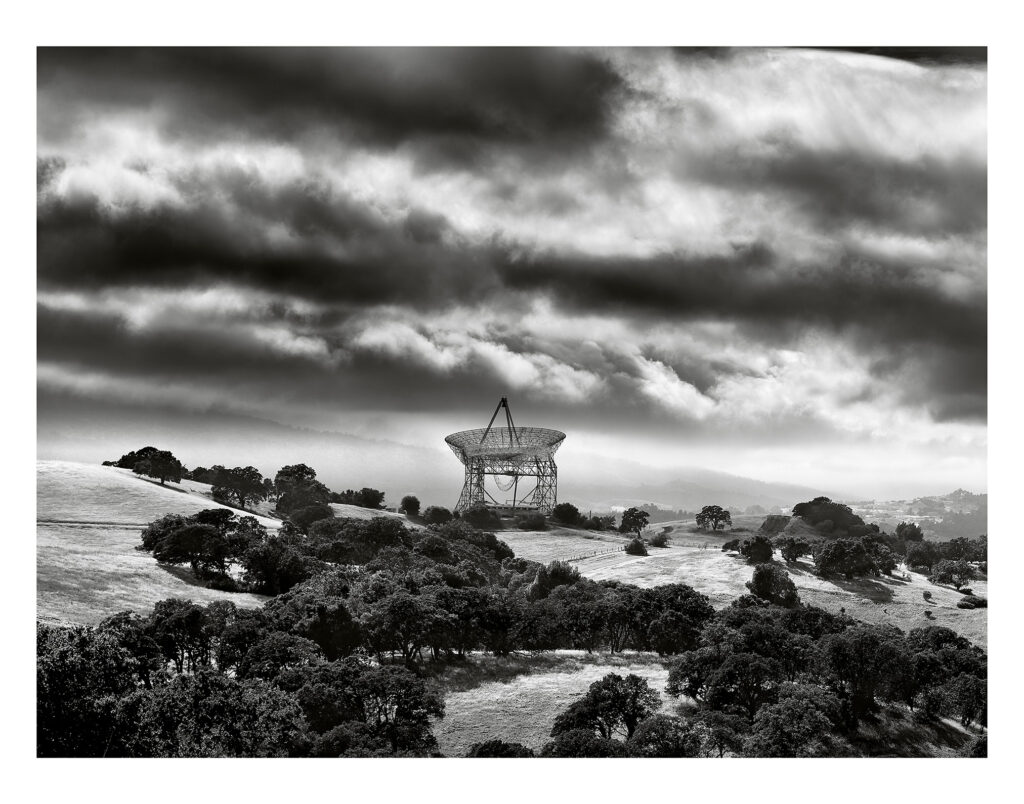 The Dish